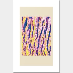 Pink Bark Posters and Art